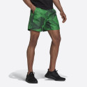 adidas Performance Graphic Men's Shorts